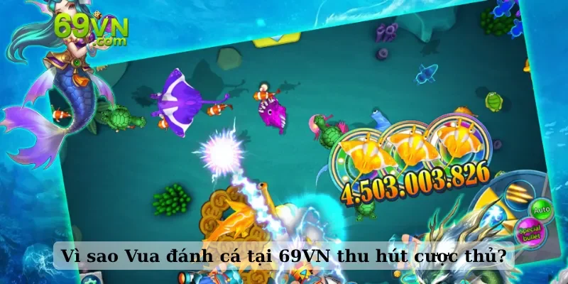 Vì sao Vua đánh cá tại 69VN thu hút cược thủ?